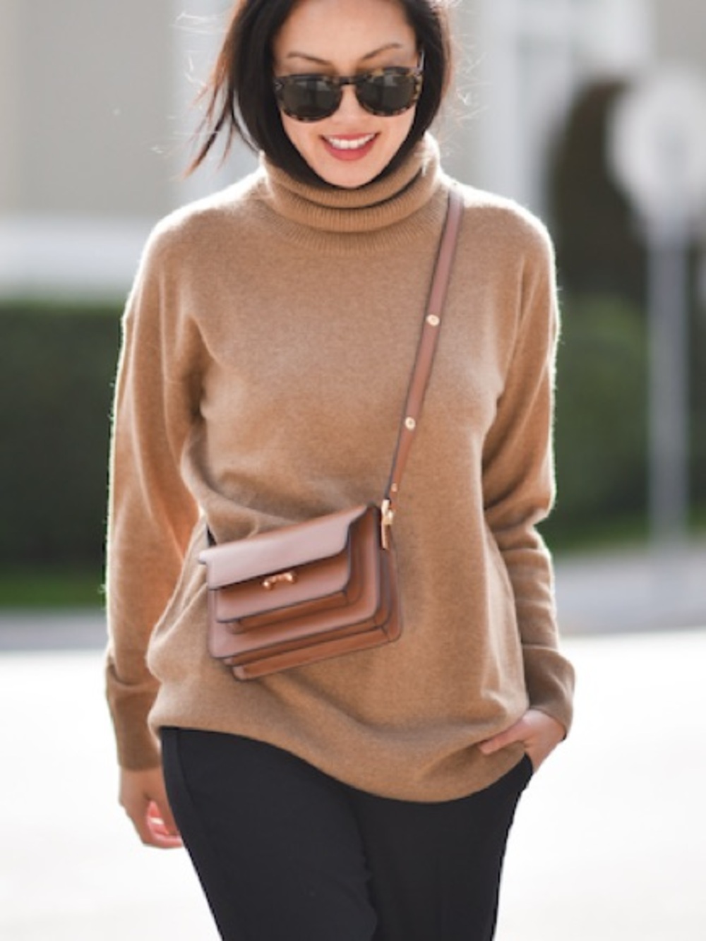 Everlane Cashmere Turtleneck Sweater Camel XS